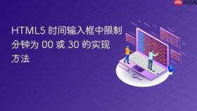 HTML5 时间输入框中限制分钟为 00 或 30 的实现方法