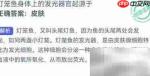 灯笼鱼发光器官起源揭秘