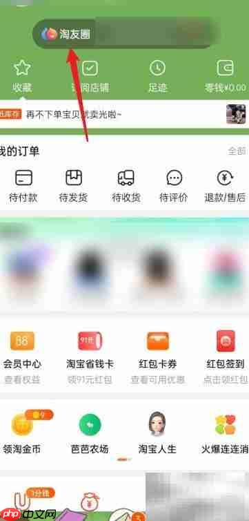 淘宝淘友圈入口位置指南
