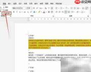 格式刷快速复制文本技巧