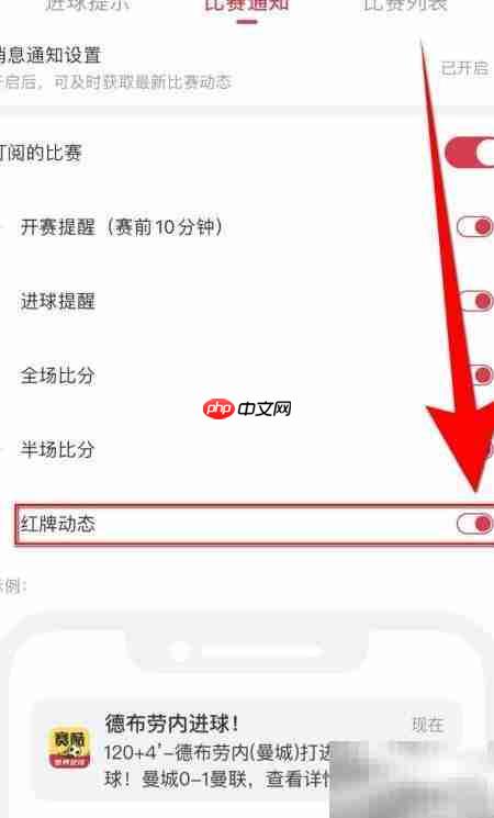赛酷体育红牌动态停用方法