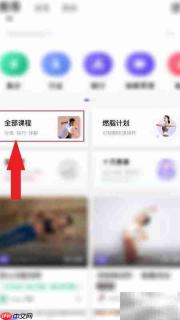 瑜伽初学者快速入门指南