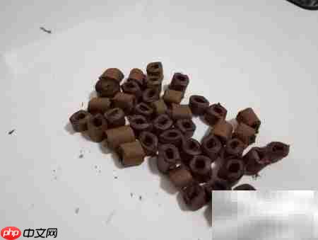 梅之衍纸:DIY创意教程