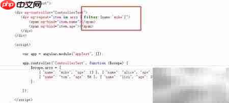 AngularJS过滤器使用技巧