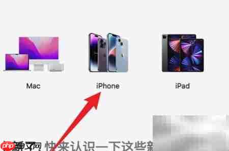 iPhone 14 Pro Max价格查询指南