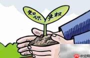 商标权转让的常见方式
