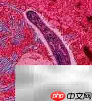 如何应对传染病疼痛