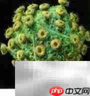 如何应对传染病疼痛