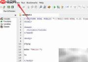 DzSoft PHP Editor保存后撤销关闭方法