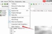 DzSoft PHP Editor保存后撤销关闭方法