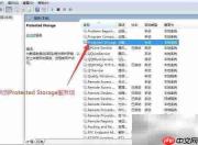 如何设置Protected Storage启动类型