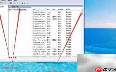 如何设置Protected Storage启动类型