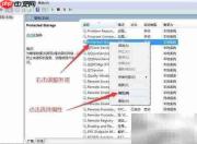 如何设置Protected Storage启动类型