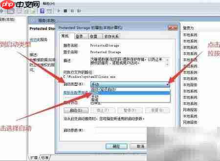 如何设置Protected Storage启动类型