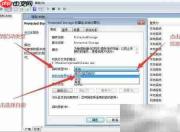 如何设置Protected Storage启动类型