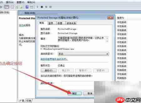 如何设置Protected Storage启动类型