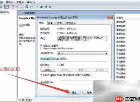 如何设置Protected Storage启动类型