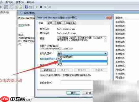 如何设置Protected Storage启动类型