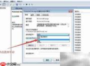 如何设置Protected Storage启动类型