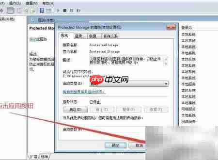 如何设置Protected Storage启动类型