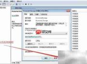 如何设置Protected Storage启动类型