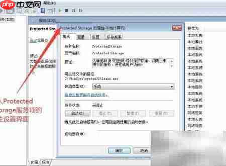 如何设置Protected Storage启动类型