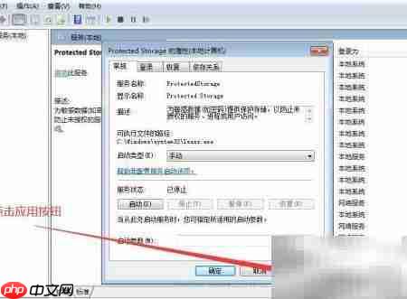 如何设置Protected Storage启动类型