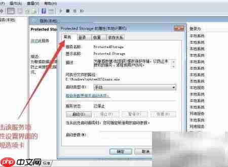 如何设置Protected Storage启动类型