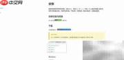 Copy translator安装使用指南