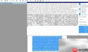 Copy translator安装使用指南