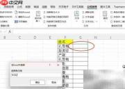 Excel快速查找重复文本技巧