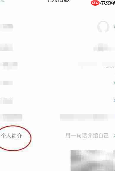 东风雪铁龙简介修改指南