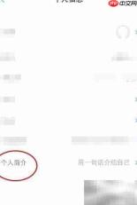 东风雪铁龙简介修改指南