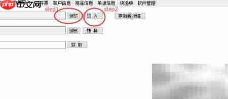 金税接口自动开票