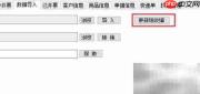 金税接口自动开票