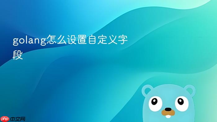 golang怎么设置自定义字段
