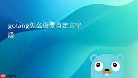 golang怎么设置自定义字段