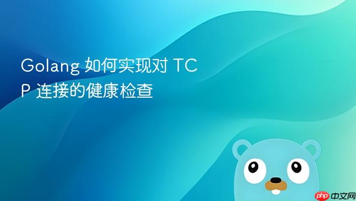 golang 如何实现对 tcp 连接的健康检查