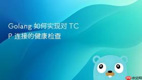 golang 如何实现对 tcp 连接的健康检查
