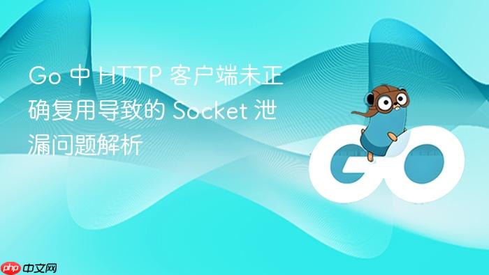 Go 中 HTTP 客户端未正确复用导致的 Socket 泄漏问题解析

