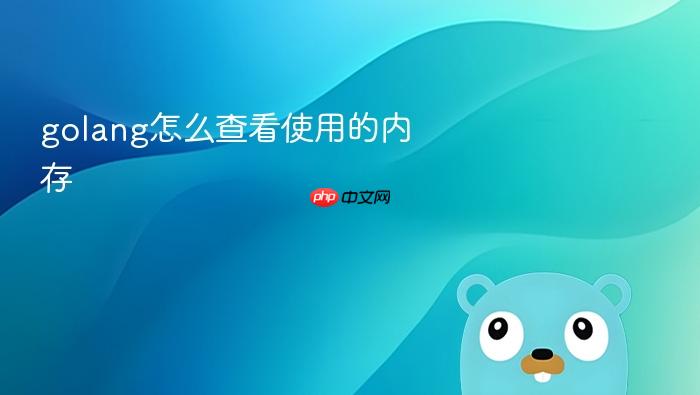 golang怎么查看使用的内存