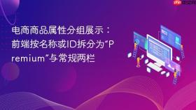 电商商品属性分组展示：前端按名称或ID拆分为“Premium”与常规两栏
