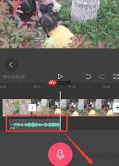 剪映怎么添加人工语音?-剪映添加人工语音的方法