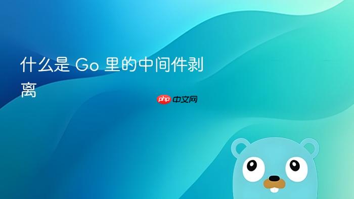什么是 go 里的中间件剥离