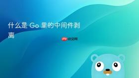什么是 go 里的中间件剥离