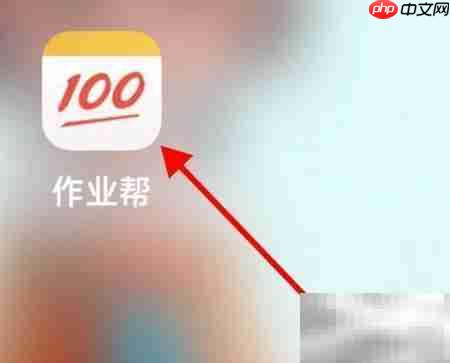 作业帮IA精准测查看指南