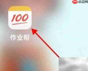 作业帮IA精准测查看指南