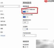优化Windows性能的实用技巧