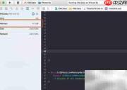 Xcode内存不显示解决方法