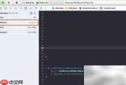 Xcode内存不显示解决方法